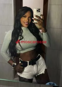 escort.it - Bisceglie Lesly Massaggiatrice super Bellissima Trans Activa E Passiva, Sempre Vogliosa E Porca!!! Faccio Ogni Tipo Di Massaggio