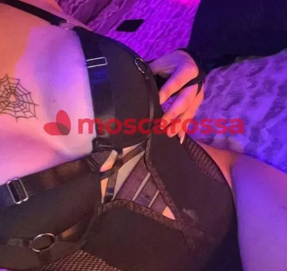Foto di 3515266715
