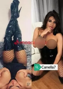 Foto di 3520760870