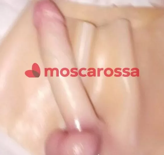 Foto di 3511677030