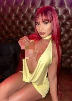 escort.it - città Di Mariano Comense nena trans VIP attiva passiva e Super Femminile sofia Xxl