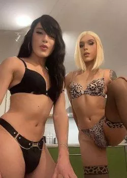 Foto di 3313739129