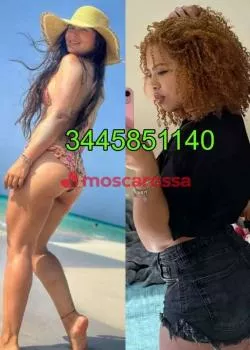 Foto di 3445851140