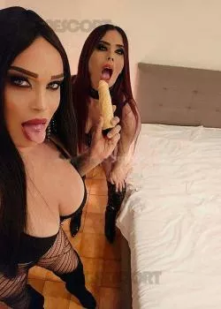 escort.it - Coppia Trans A Biella