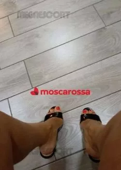 Foto di 3661421485