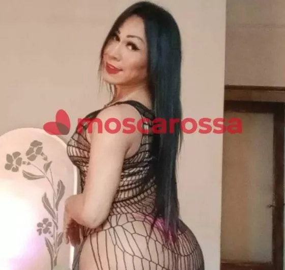 Foto di 3533594121