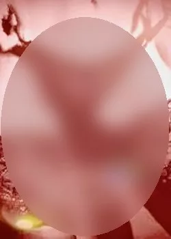 Foto di 3510533026