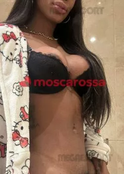 Foto di 3446677619