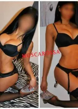 Foto di 3477026430