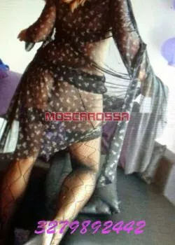 Foto di 3279892442