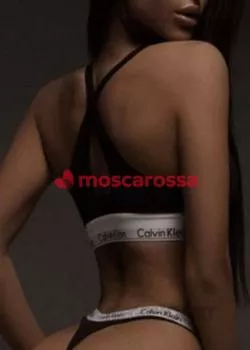 escort.it - Ferraz Trans