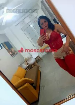 Foto di 3476930378