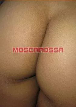 Foto di 3335352981