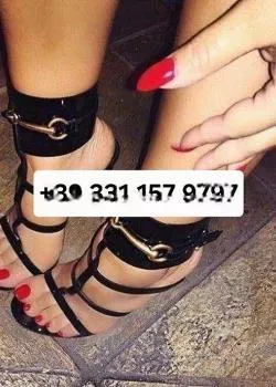 Foto di 3311579797