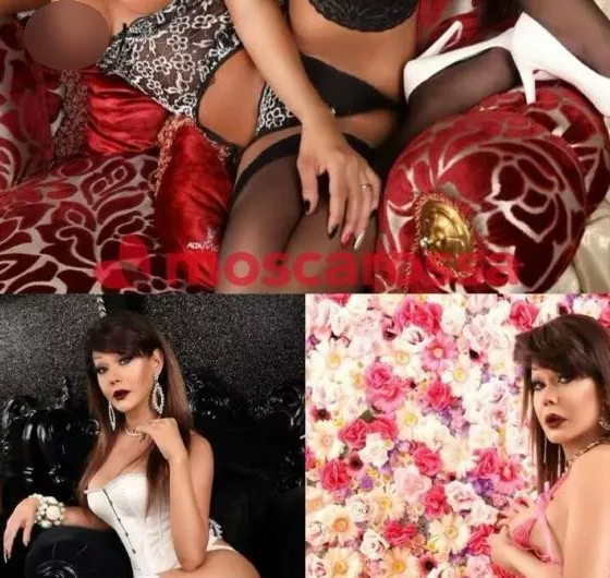 escort.it - (il Tuo