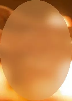 Foto di 3793158165