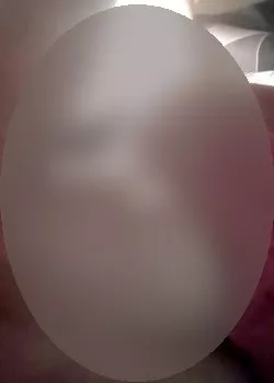 Foto di 3512903988