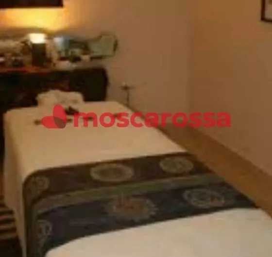Foto di 3291937465