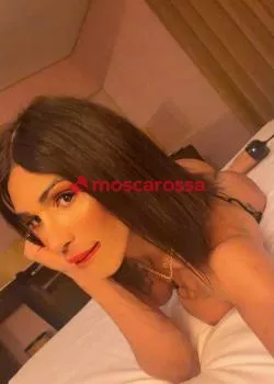 Foto di 3509273666
