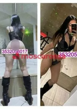 Foto di 3532056017
