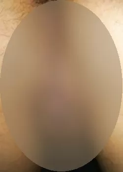 Foto di 3501567968