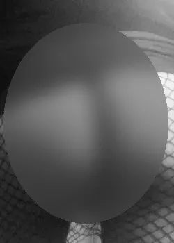 Foto di 3513404794