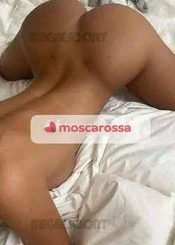 Foto di 3533572221