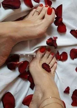 Foto di 3509550906