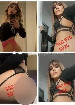 escort.it - Lodi novita Trans Kastalegia mulata bella Scelta Giusta È Arrivata Trans Giovane maialina Succhiatrice Di Cazzo attiva /pass