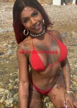 escort.it - lorena Diniz attiva vogliosa bella Nera A Tor Vergata safadinha