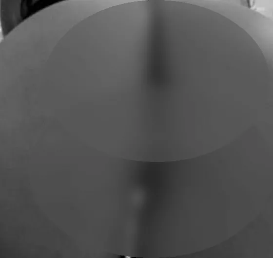 Foto di 3509979085