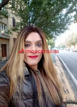 Foto di 3805951370