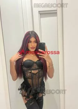 Foto di 3533454236