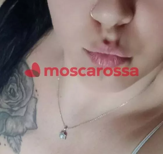 Foto di 3286665145