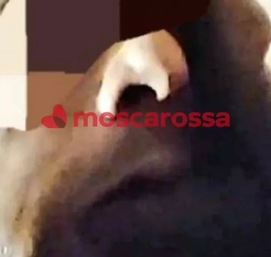 Foto di 3202516621