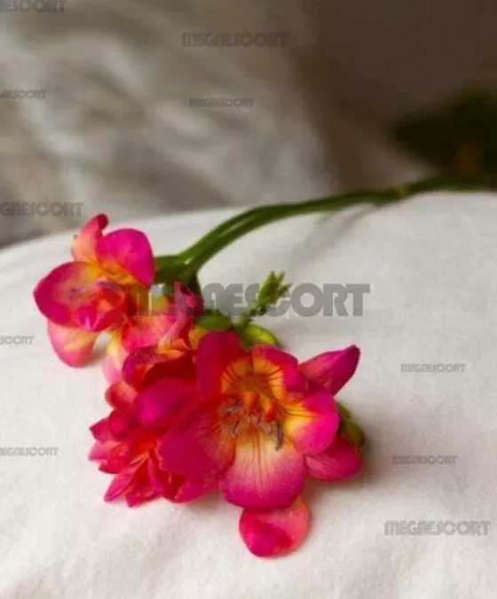 Foto di 3277467233