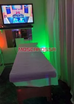 escort.it - Massaggiatrice