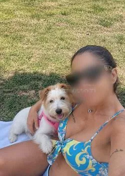 Foto di 3318184520