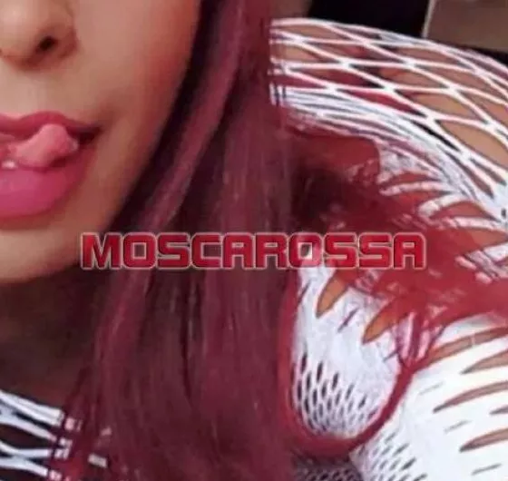 escort.it - Medusa