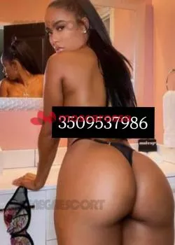 Foto di 3509537986