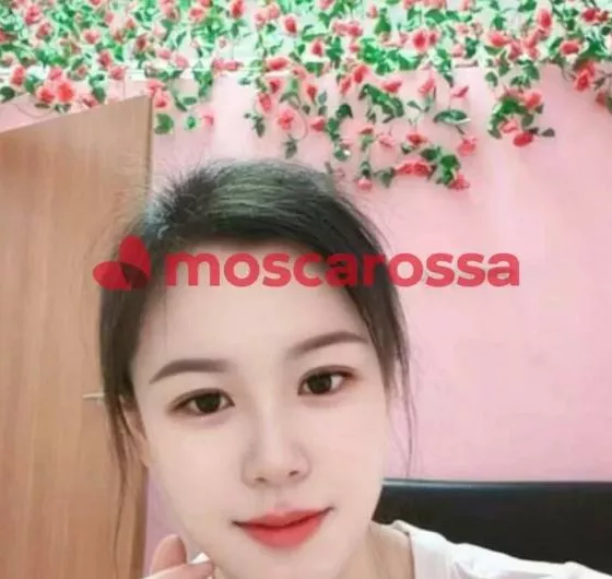 Foto di 3317360516