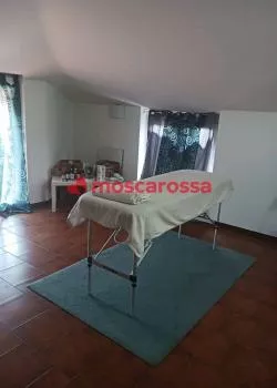Foto di 3342977564