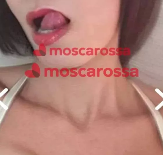 Foto di 3381904846