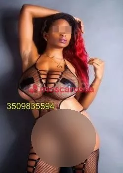 Foto di 3509835594
