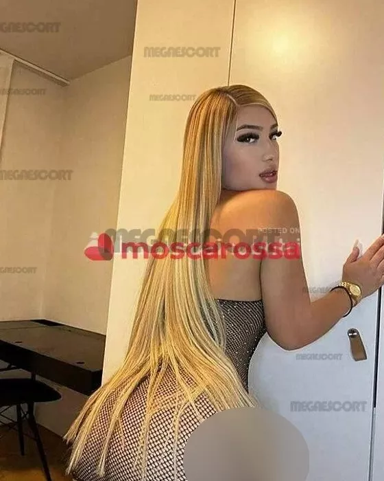 Foto di 3312165883