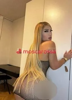 Foto di 3312165883