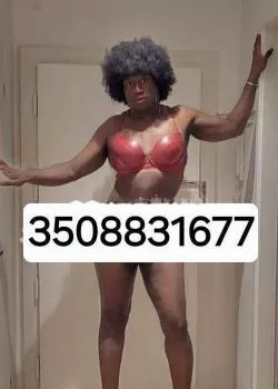 Foto di 3508831677