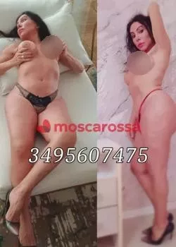 escort.it - New