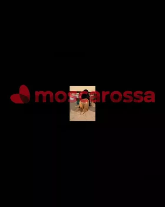 Foto di 3533911445