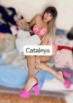 Foto di 3381772021